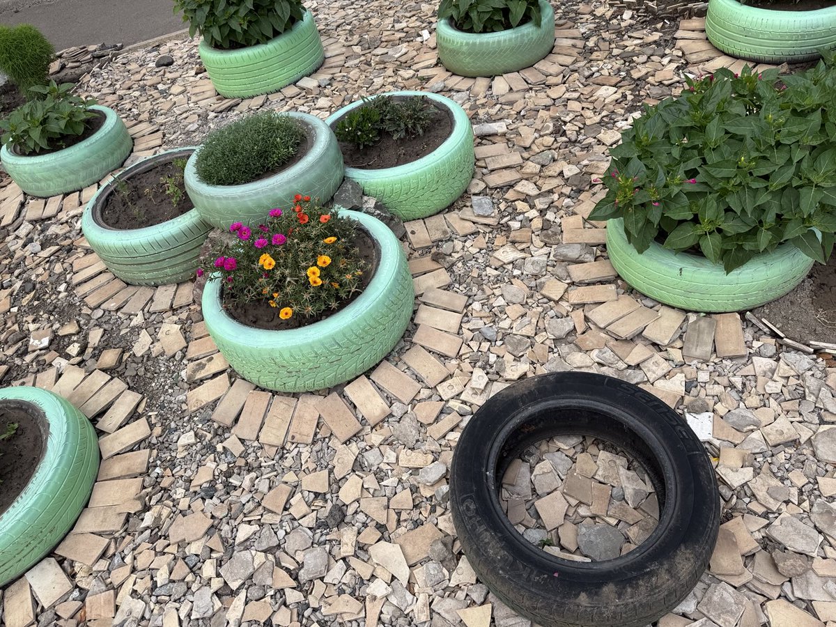 3Bergen's tweet image. Deze dame verfraait de tuin naast haar flat met gebruikte autobanden -die ze steevast mintgroen schildert- en tegels die nu en dan van het gebouw naar beneden kletteren. #KryvyiRih