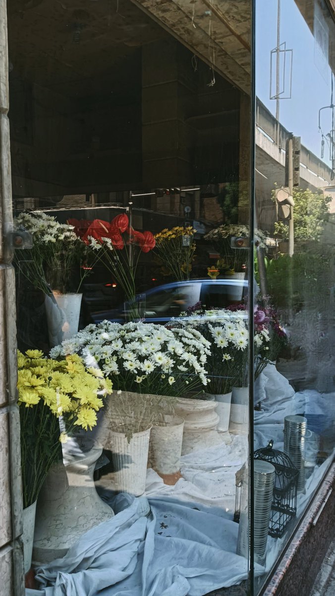ROWANHEHE's tweet image. 📍zamalek