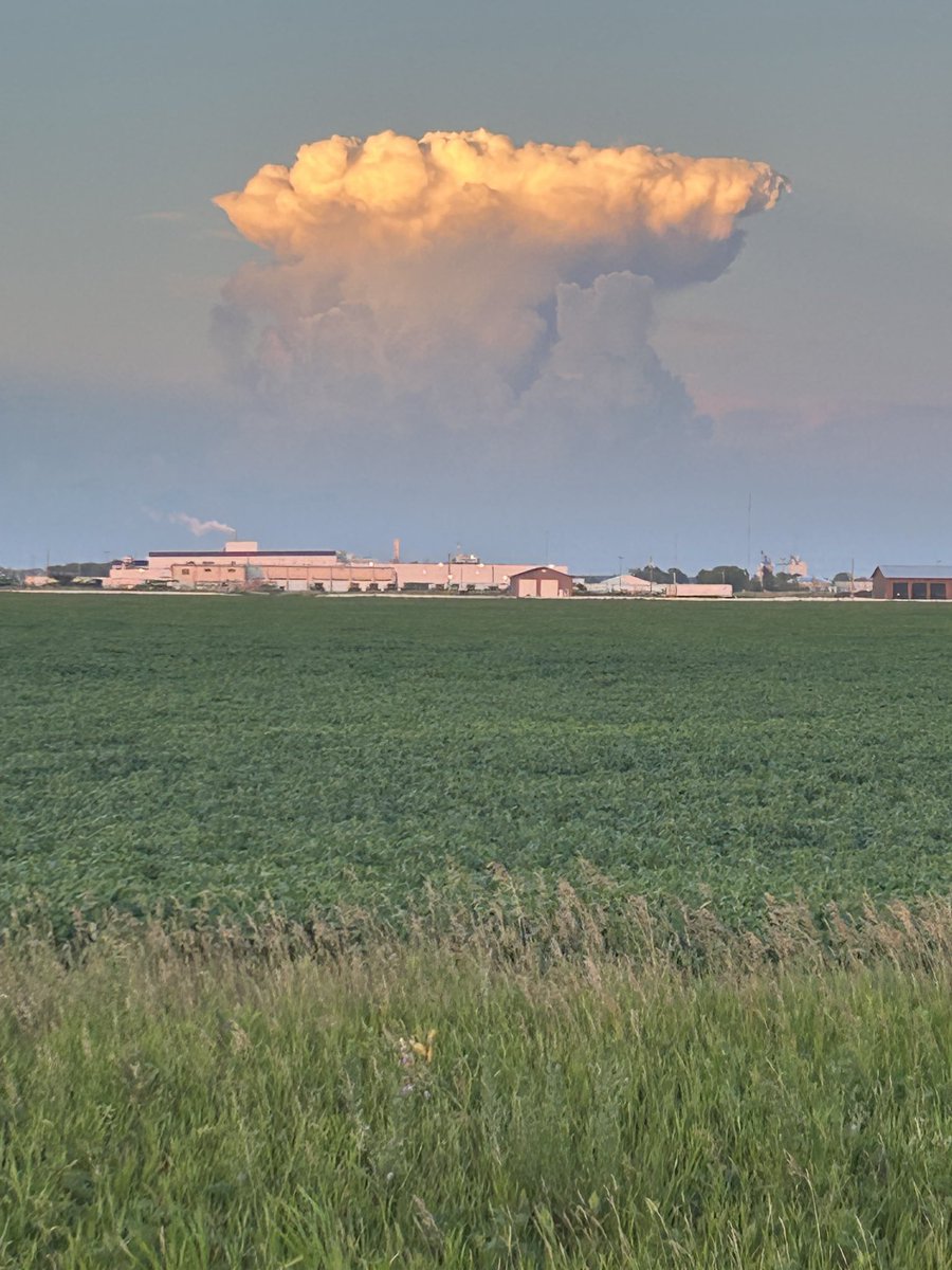 Jared Munro tweet media