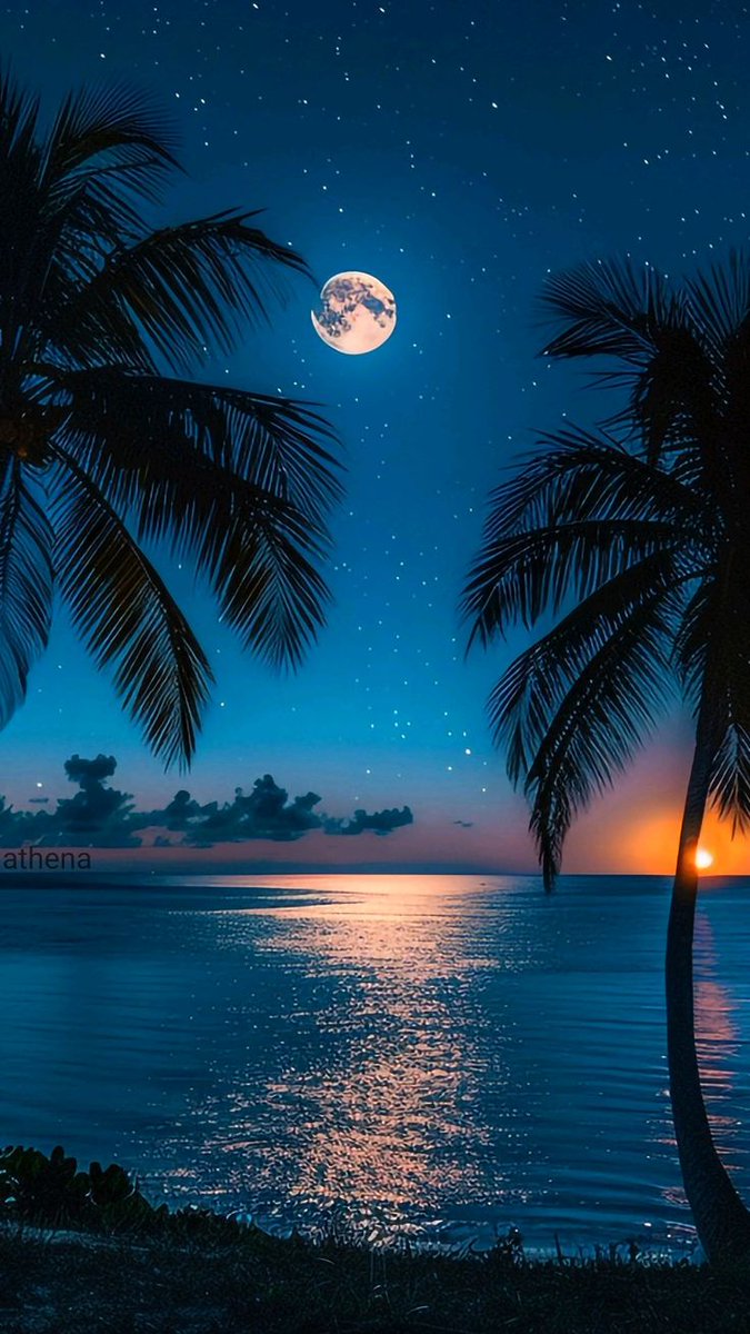 NaturePulseX's tweet image. 