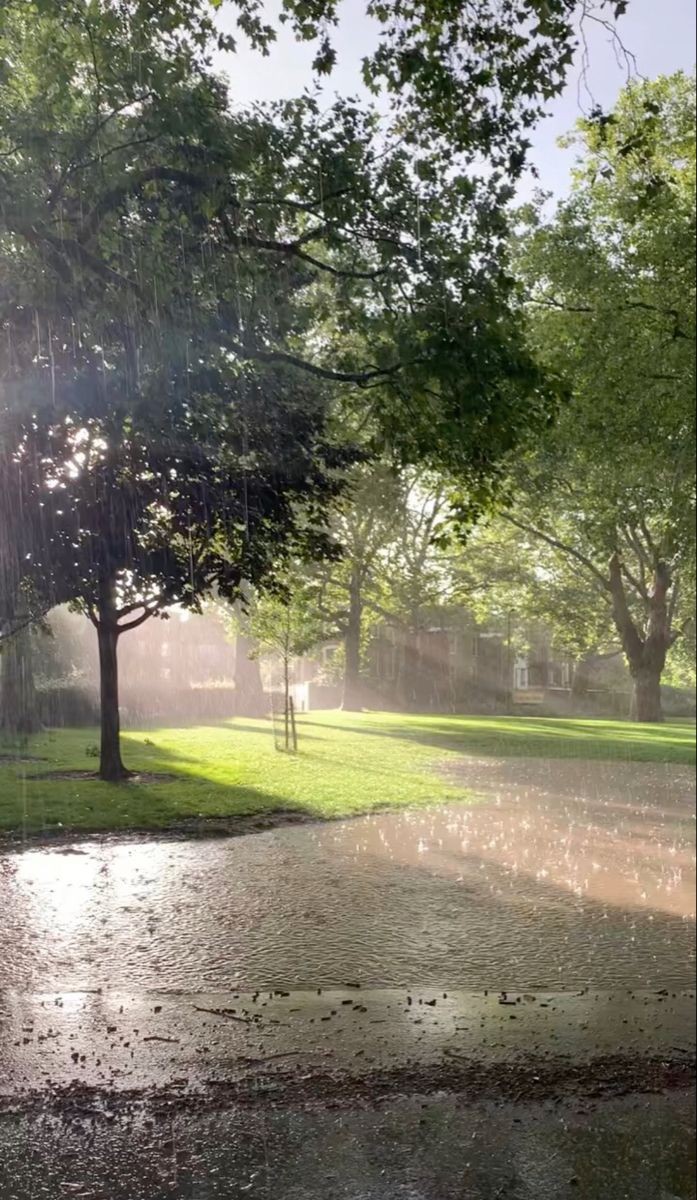rain therapy