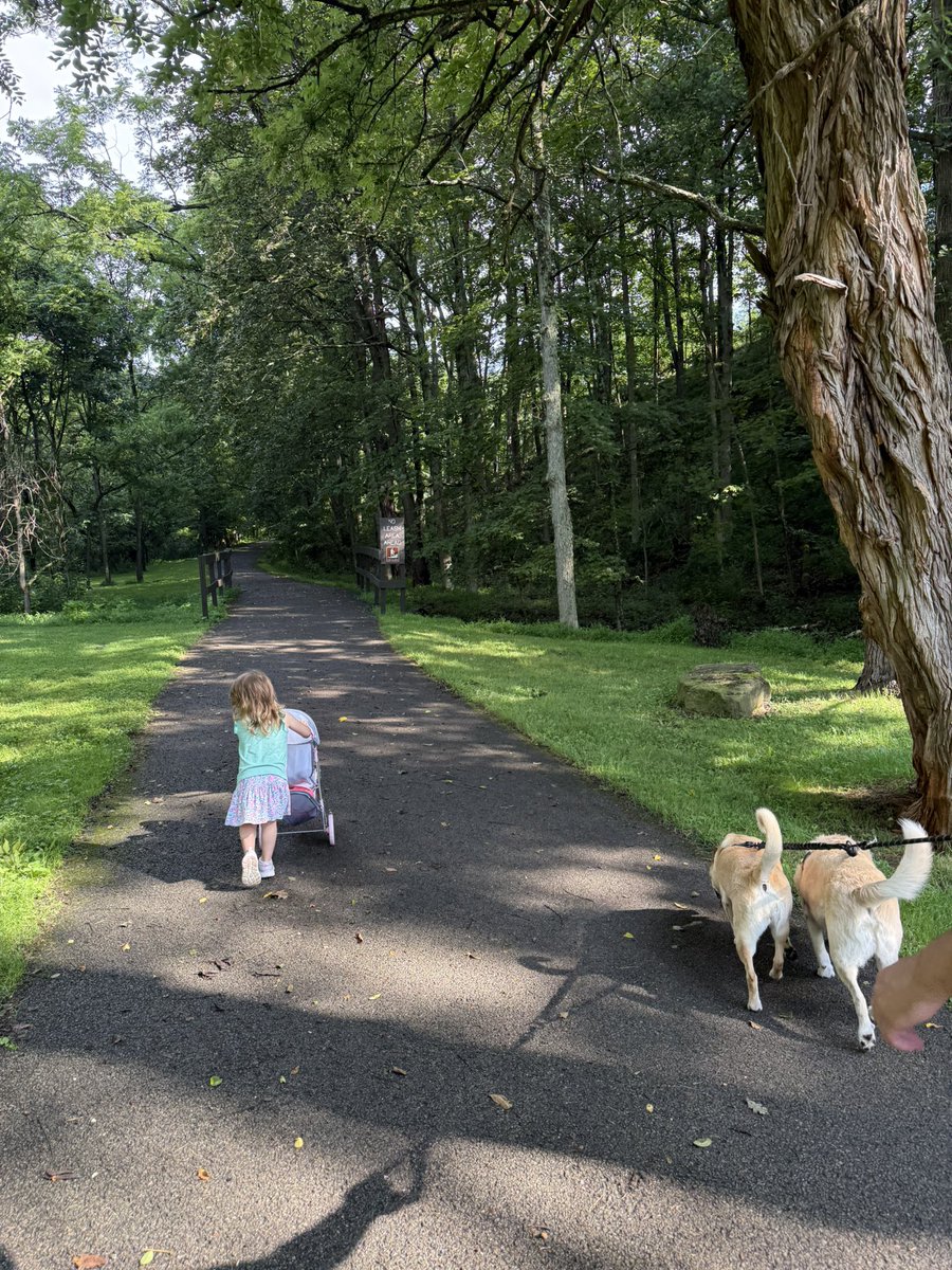 Alwaysmiranda's tweet image. Went for a walk with my family today! It was HOT &amp;amp; MUGGY but Olivia and the dogs had fun! 🥰