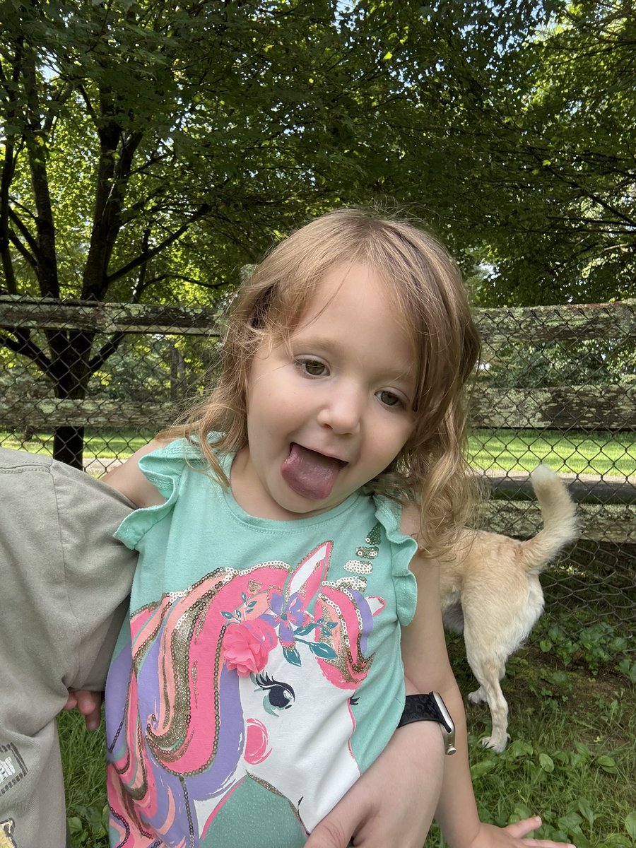 Alwaysmiranda's tweet image. Went for a walk with my family today! It was HOT &amp;amp; MUGGY but Olivia and the dogs had fun! 🥰