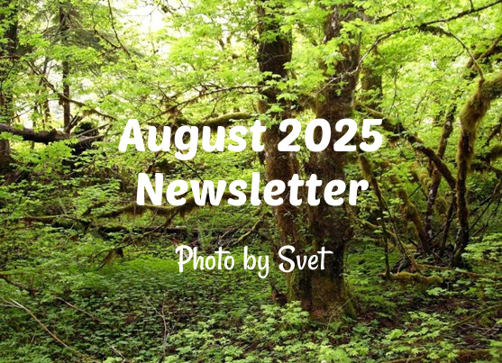 lymphsurvival's tweet photo. The August 2025 Newsletter has been posted --Best in Health, Robert #lymphoma --  (link: https://t.co/SSeNVa3aBK) https://t.co/ZjZzp4hIJo