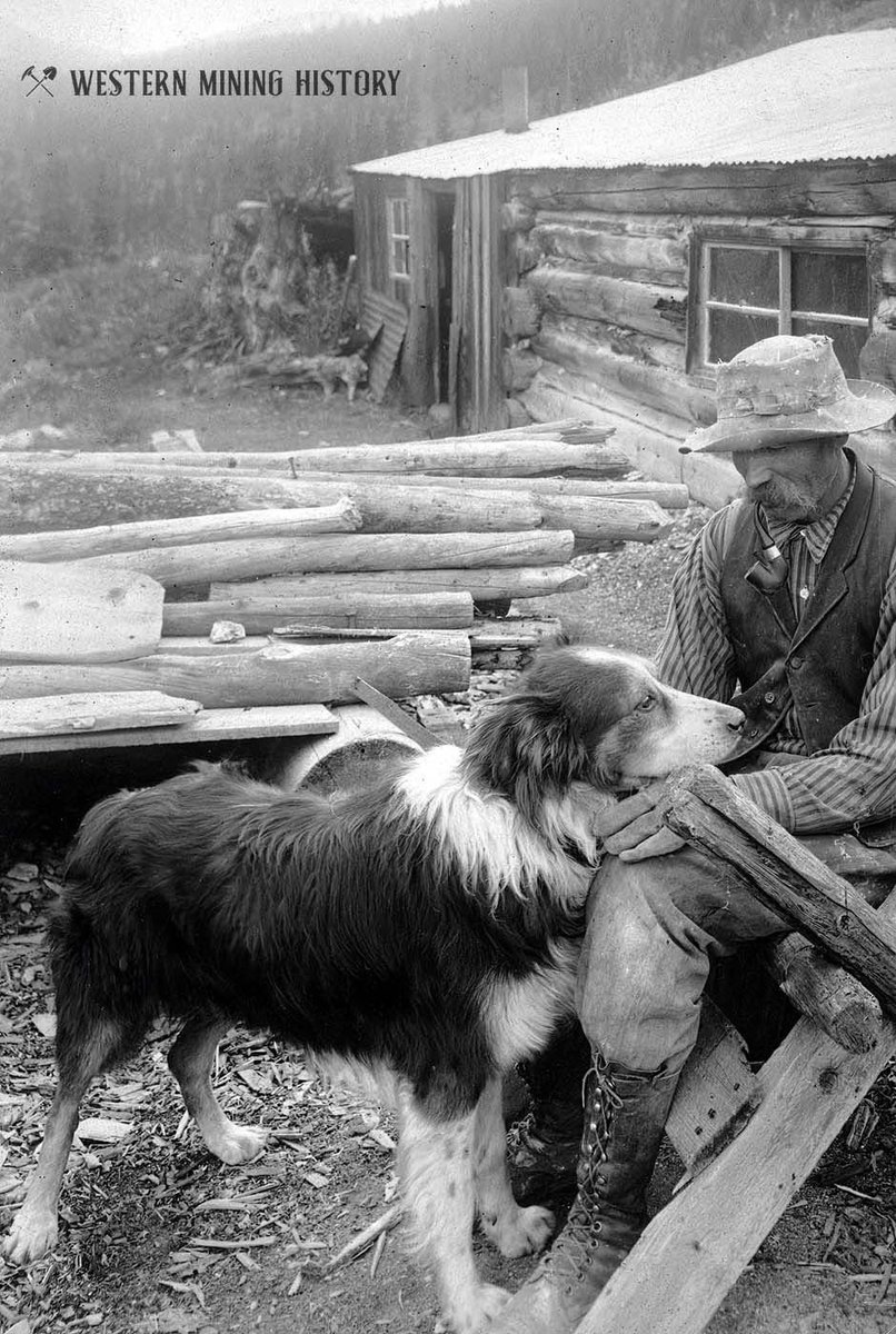 EchoesofWarYT's tweet image. Miner and his dog near Silver Plume, Colorado ca. 1900