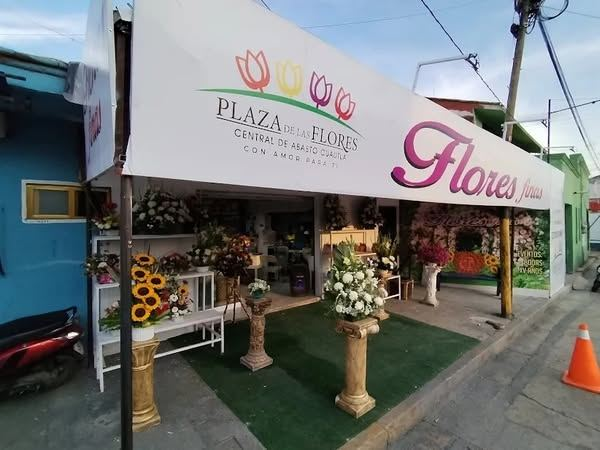 DigitaMorelos's tweet image. #Entérate | Gracias, Claudia…
🚨 Por la inseguridad imparable, cierra sus puertas la Plaza de las Flores en Cuautla.
¿Y la seguridad que prometiste en tu última visita a la Tres Veces H? 🤔
🔒 Comerciantes y visitantes ya no aguantaron más la violencia.
#Cuautla #Morelos