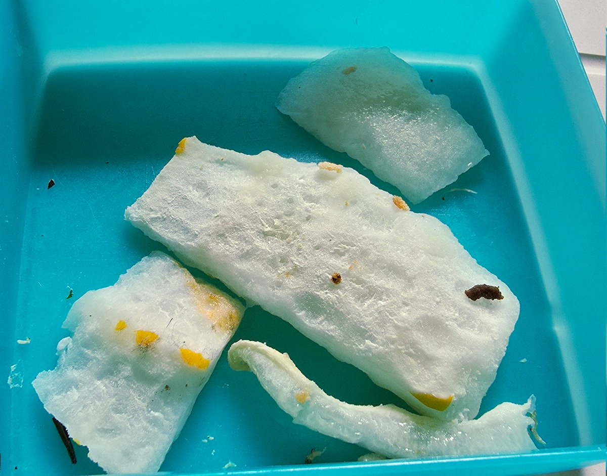 I buy pre-cut melon for my toddler to eat.
<a href="/sainsburys/">Sainsbury's</a> has robbed me this time. I pulled this out of my food bin to take the photo, but it was cut so close to the rind it had several bits of rind on it. Rock solid, unpleasant parts.
Had to cut loads off... Not great for £3.25.