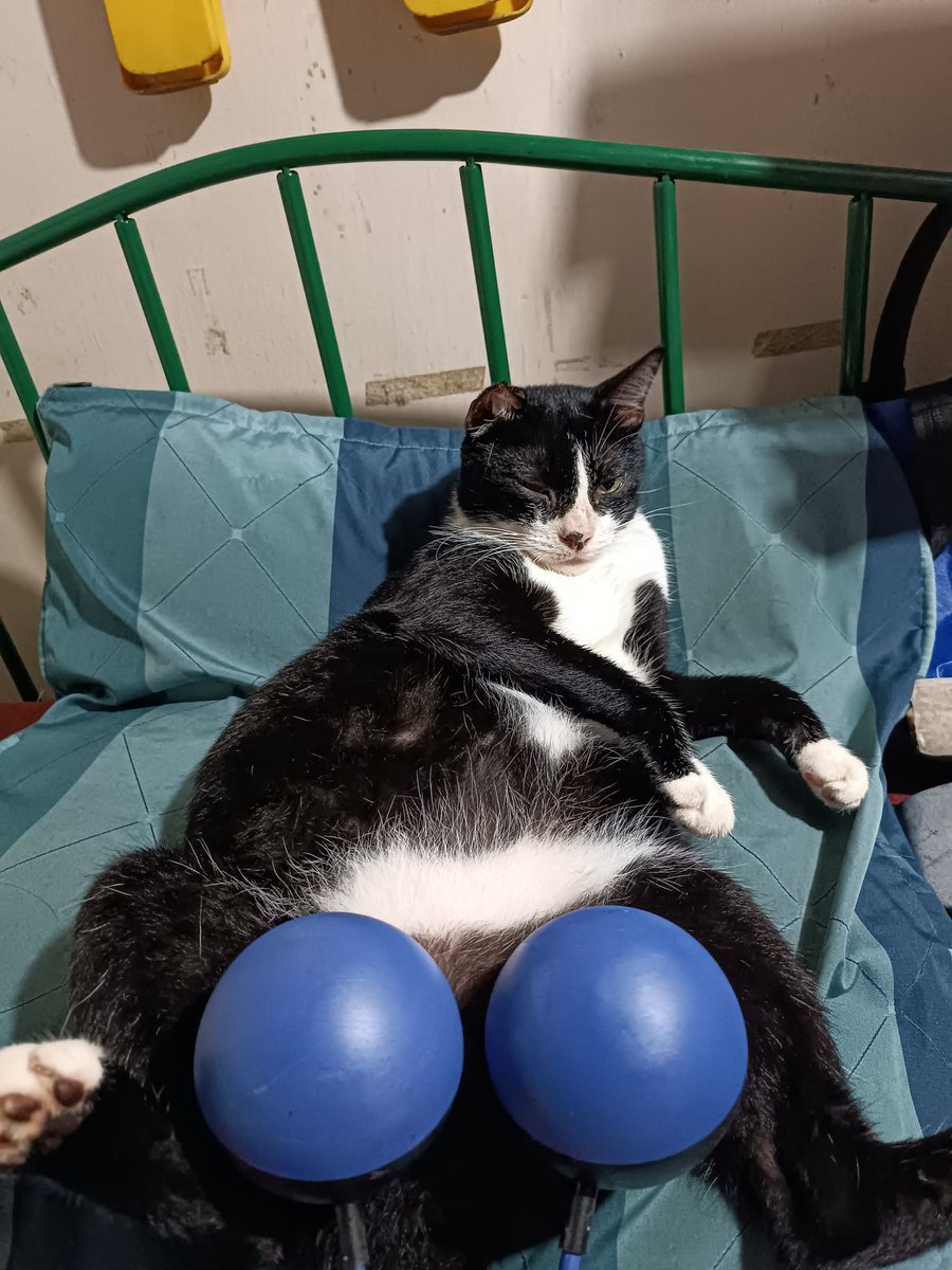ScoliosisRobot's tweet image. Balls