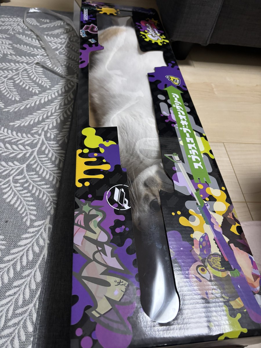 今日の夕日が綺麗過ぎ✨うちの子が可愛い過ぎた😻