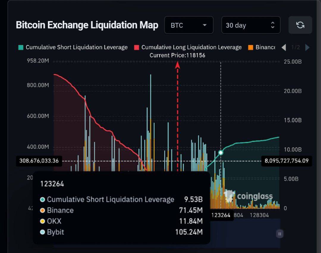 LordOfAlts's tweet image. 🚨If $BTC hits $123K, $9.5B worth of shorts get sent straight to hell.
No stop-loss, no mercy.
This is what short squeezes are made of.
