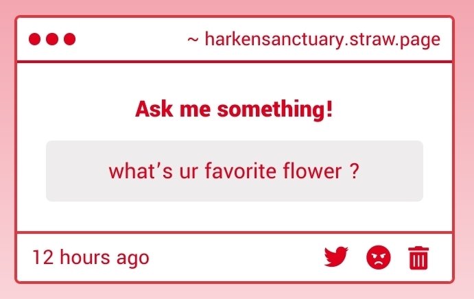 TheAngelBleedss's tweet image. After being in this world for a few months , i can say , roses . It sounds simple , but roses . . . They bring me comfort .