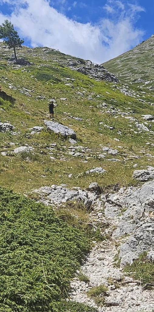 wilhelm_2112's tweet image. L&apos;orso che scende dalla vetta. 😁