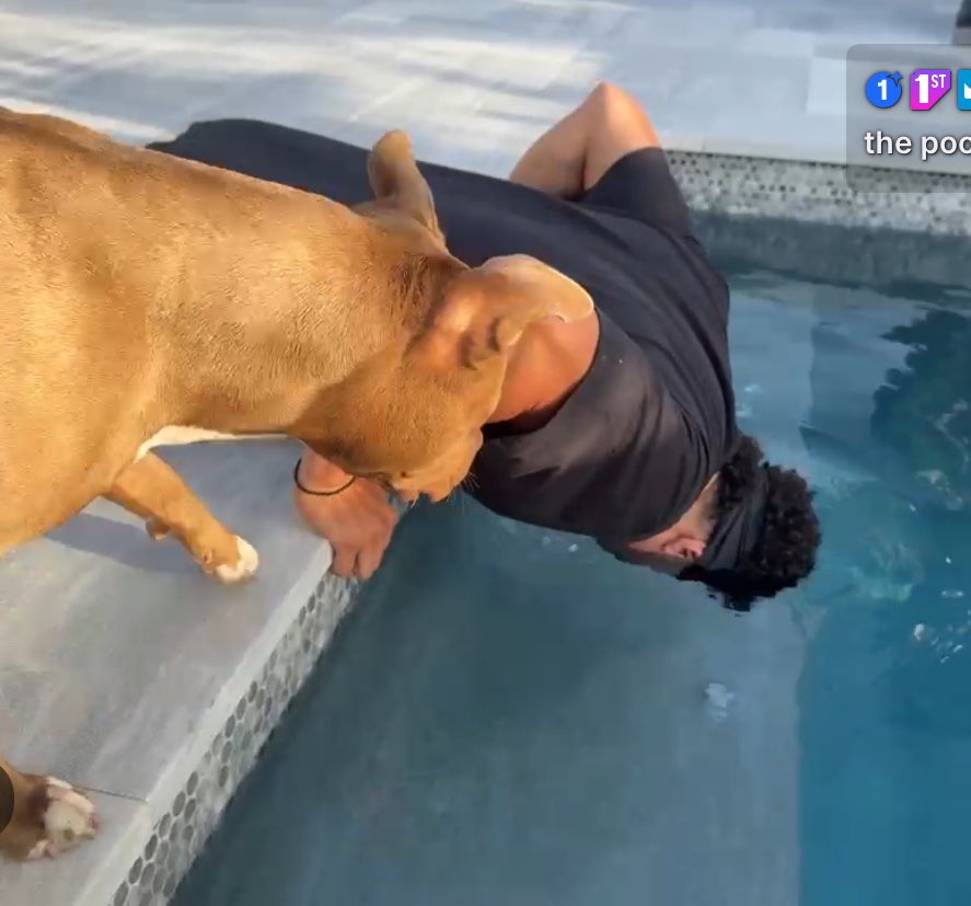 MyBuddyRhea's tweet image. Bella just like “that’s not how you swim fam”