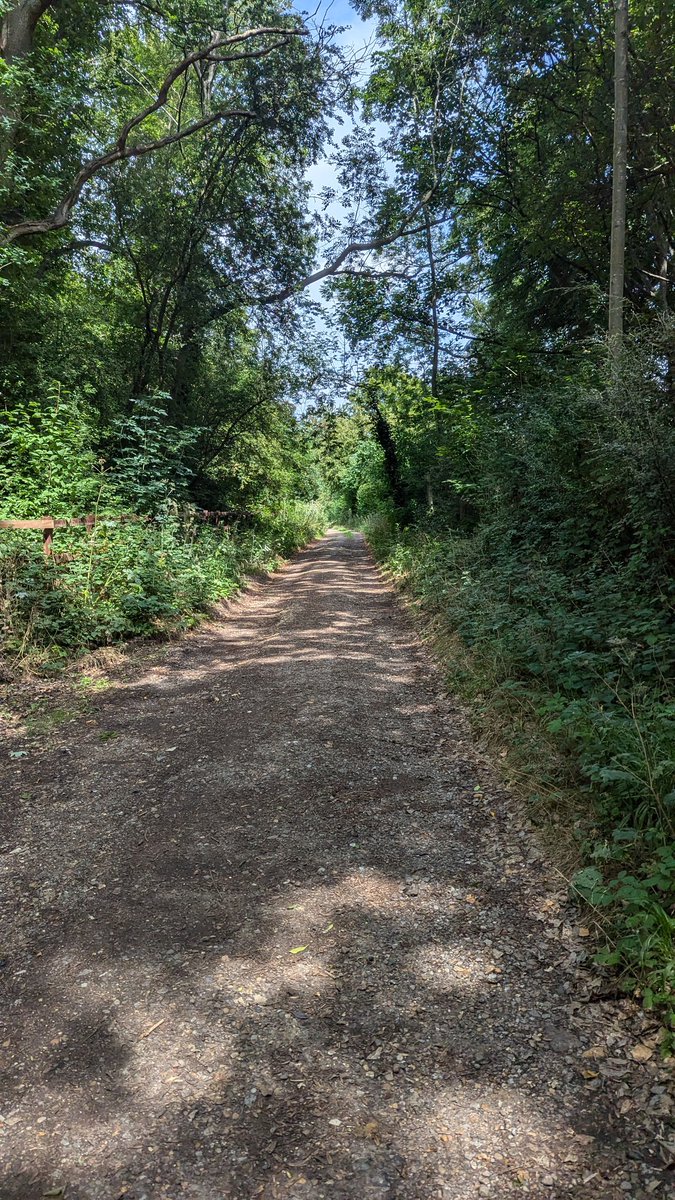 Cherry pilgrimage to Wheathampstead! Went to his grave, saw his statue, and completely underestimated the walk past his former estate and ended up almost getting lost while trekking over the footpaths 🤣 A proper Cherry experience 😅