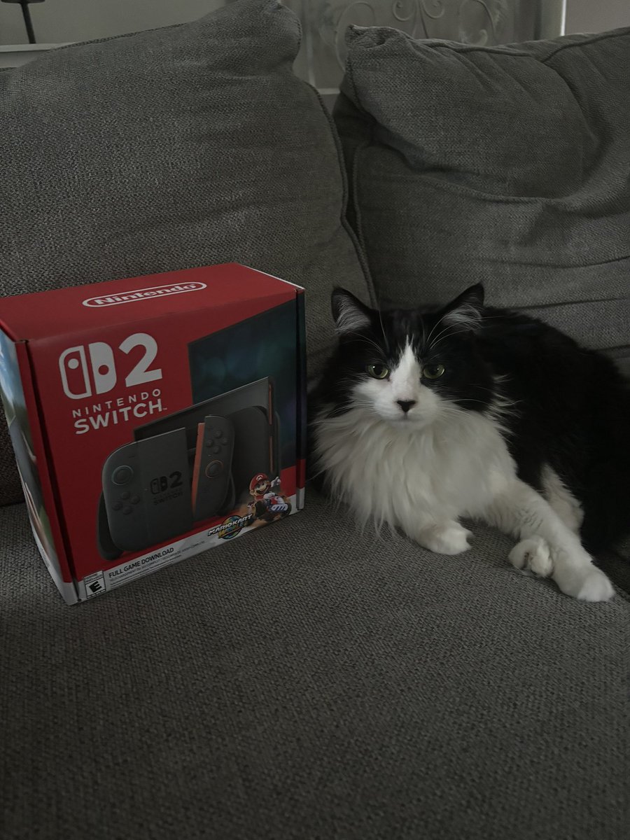 NhavySeals's tweet image. Wow, my cat is officially a proud owner of a Nintendo Switch 2!