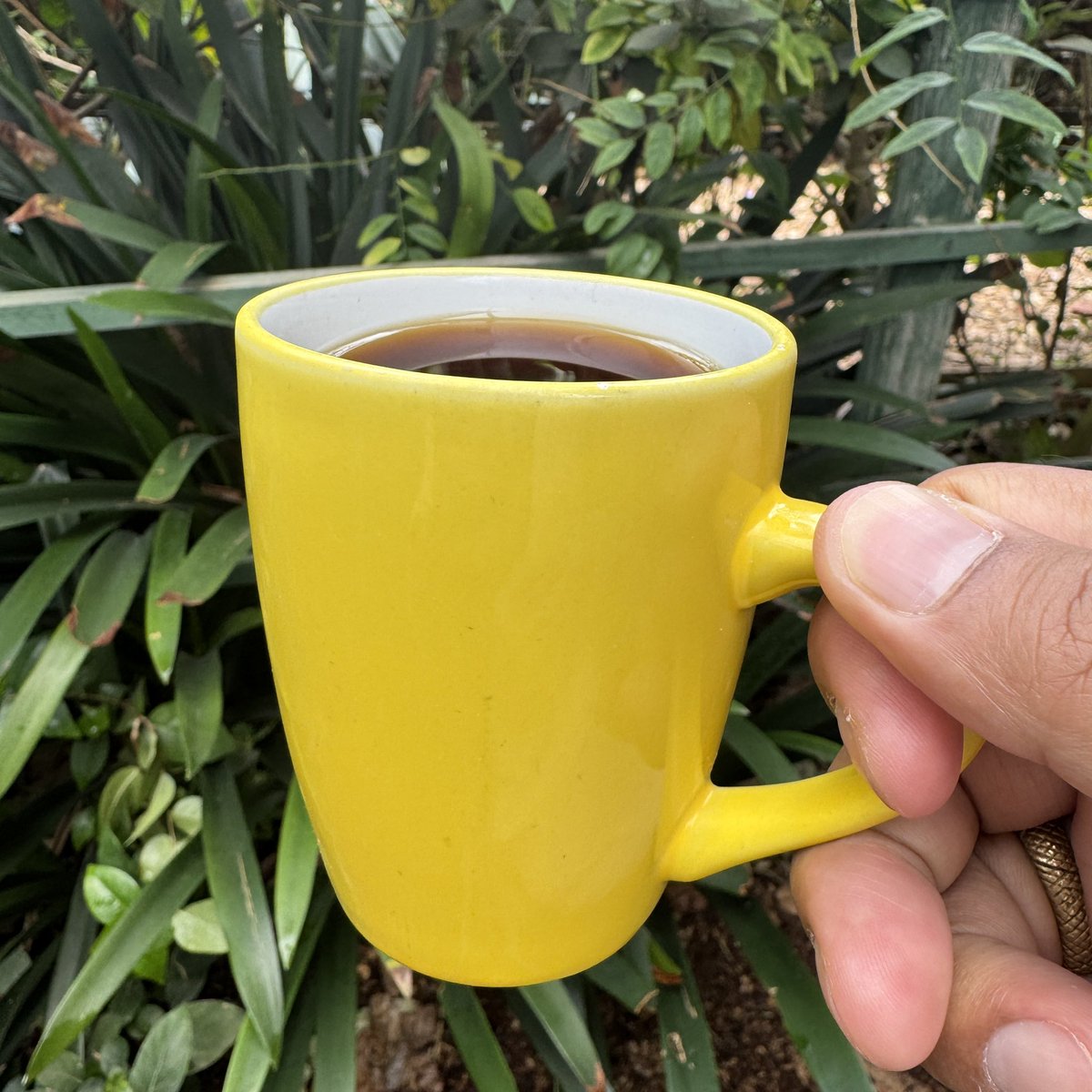 cheapbitcoinart's tweet image. Gm.☕️ My kinda yellow art.