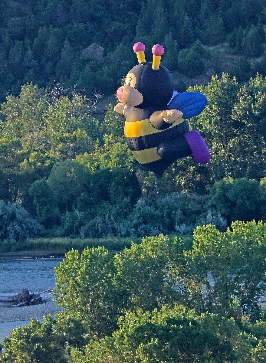 BobZellarPhoto's tweet image. Bigsky Balloon rally Sunday in Billings Montana