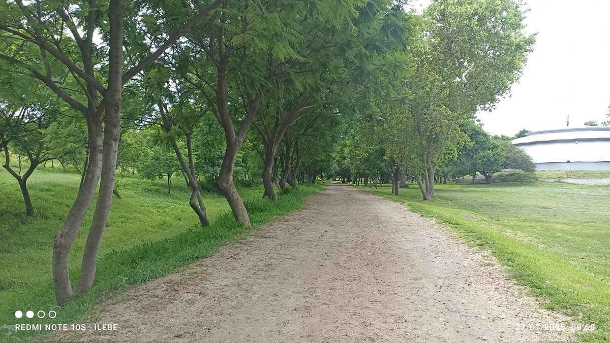 Ay que felicidad 😃🎉 Solo venía por 7 kilómetros...el cuerpecito me dijo hoy te dejo ser feliz......te regalo  9k 

Y miren que belleza de pista elegí hoy.
#yoelegicorrer