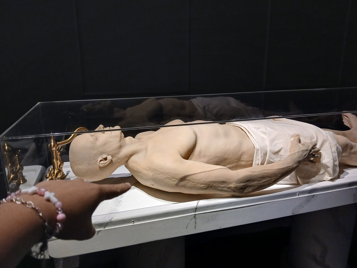 EMERITUSHOUND's tweet image. Yooo ghost reference at the musem