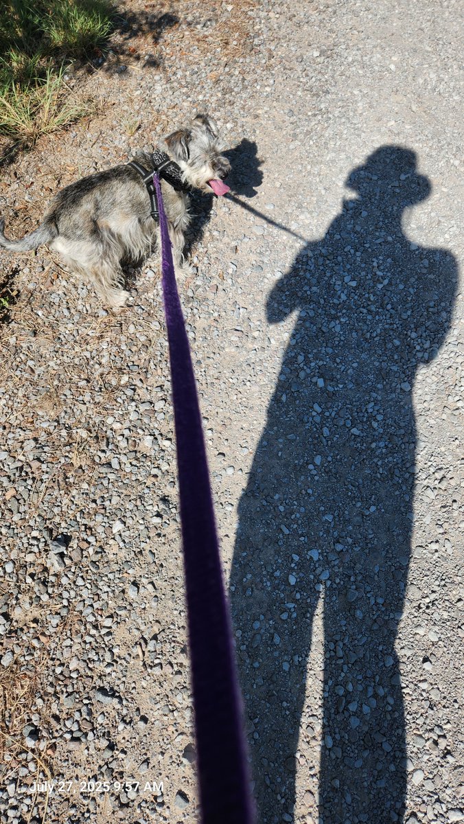 BuzzLightSabre's tweet image. Scouty Boy and me on our walk.