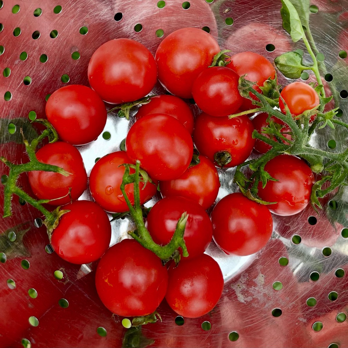 Spain pretty rampant in the first half, but it’s only 1-0.  Kelly’s energy made an instant impact. England need to find a way. Meanwhile, check out my tomatoes! 🍅 ⚽️
