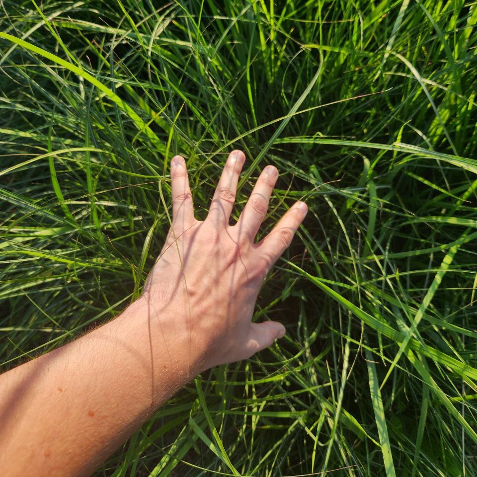 UpscaleTrade's tweet image. ๐ฟ Take a moment, breathe, and touch some grass this Sunday evening.
Tomorrow = new week, new wins, new chances to grow ๐