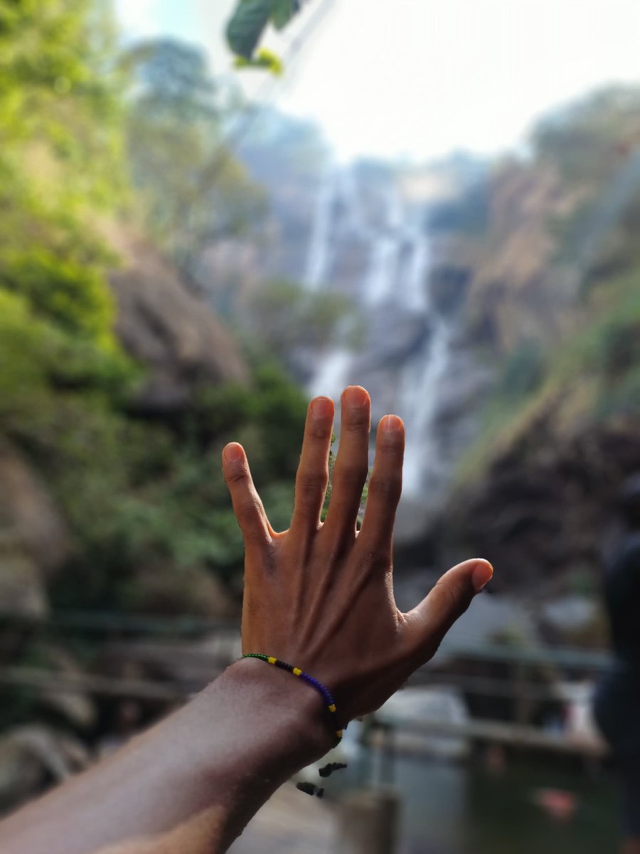 azania_pm's tweet image. You can't get enough of Tanzanian heritage even if you visit the same place multiple times, today was my 5th time at Udzungwa Mountains National Park, just after the 2nd NNF Annual Scientific Symposium we had time to connect with this beautiful nature!!!
I love it here always 🇹🇿