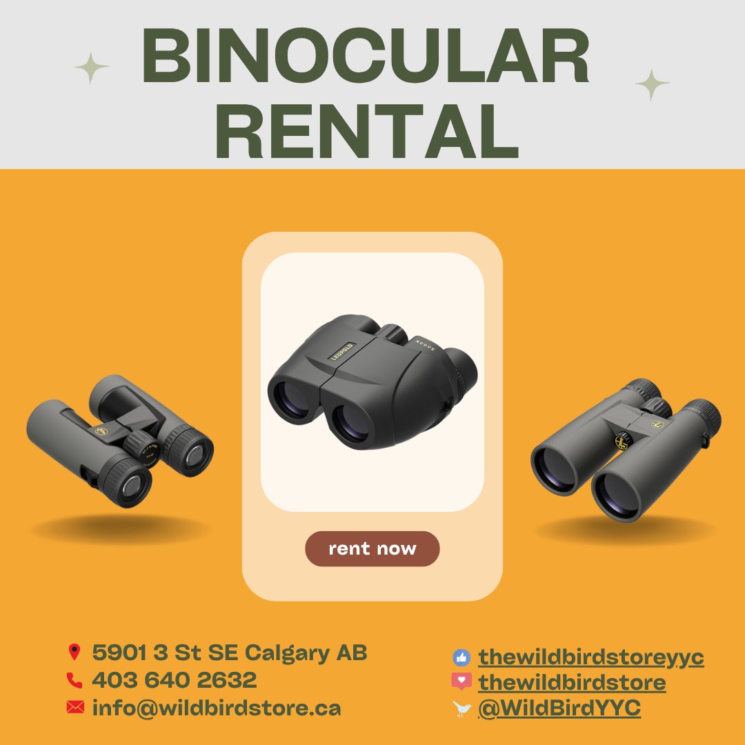 👀 Try before you buy! Rent binoculars at The Wild Bird Store &amp; test before committing.
Buy later? 50% of rental goes toward your purchase! 🙌

#BinocularRental #TryBeforeYouBuy #LeupoldOptics #YYCBirds