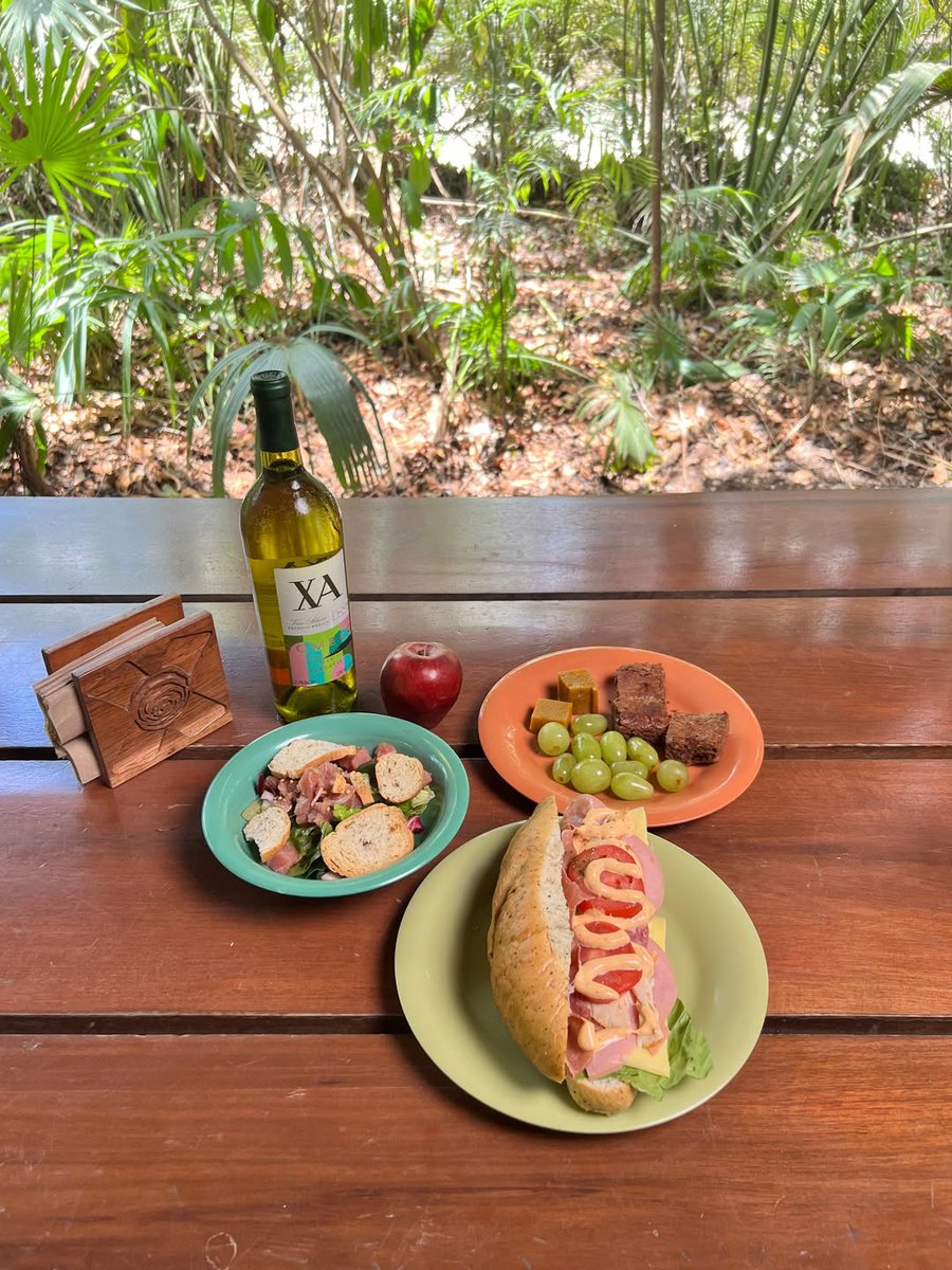 POV: It's time for your favorite time of day. 😋 🍷Your adventure includes a picnic in the jungle.