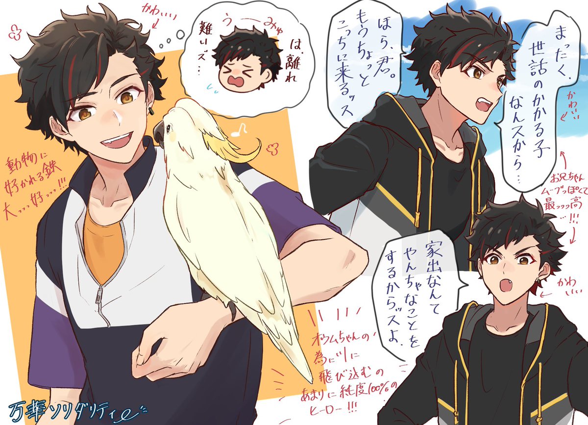 midehya99's tweet image. 万華ソリダリティーの鉄虎のお気に入りのとこ🐯オウムちゃんに対してお兄ちゃんムーブっぽいのめちゃくちゃ好き😌🫶🙏