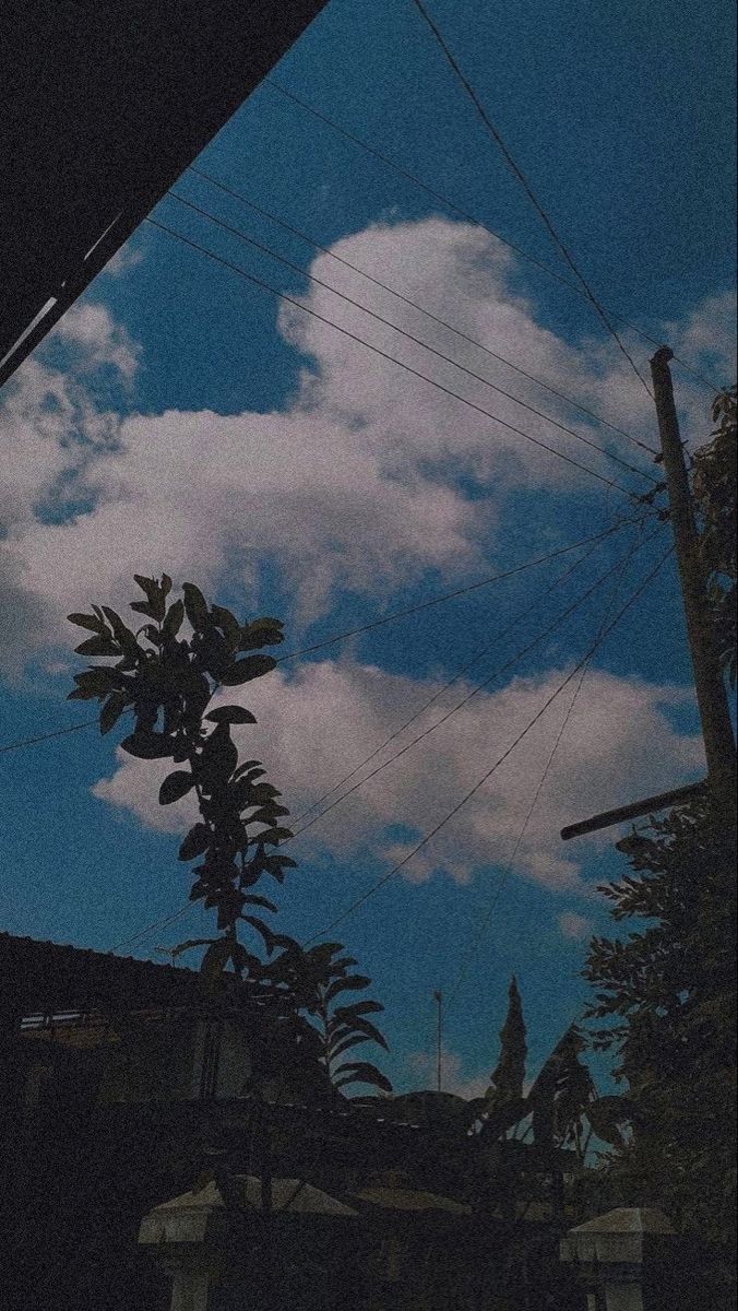 HeIsMox's tweet image. 🌴📸✨