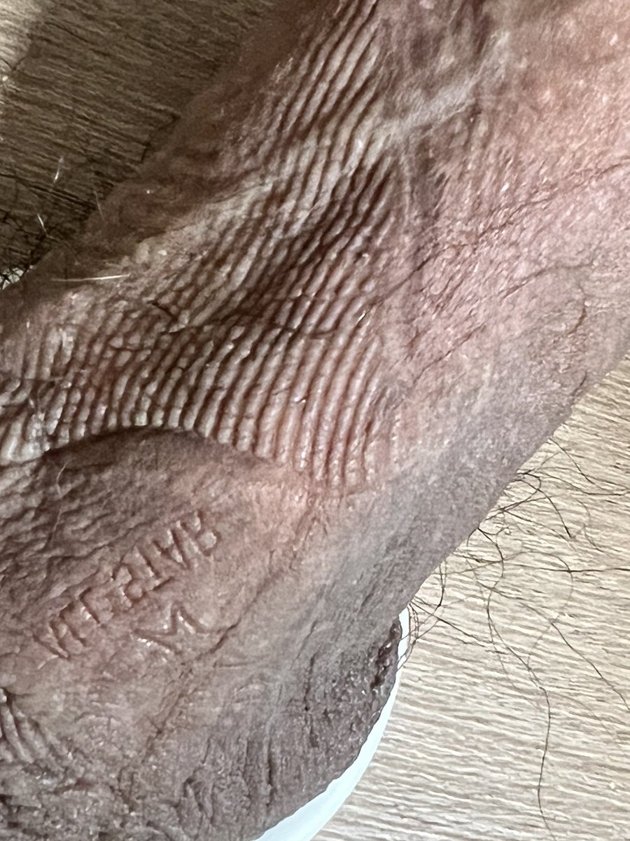 拜托了萧萧大人 tweet media