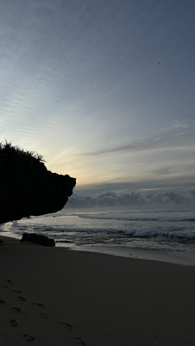 zzscratch's tweet image. need vitamin sea🦀🦈🦞🛥️🐙🐚🌊🌴