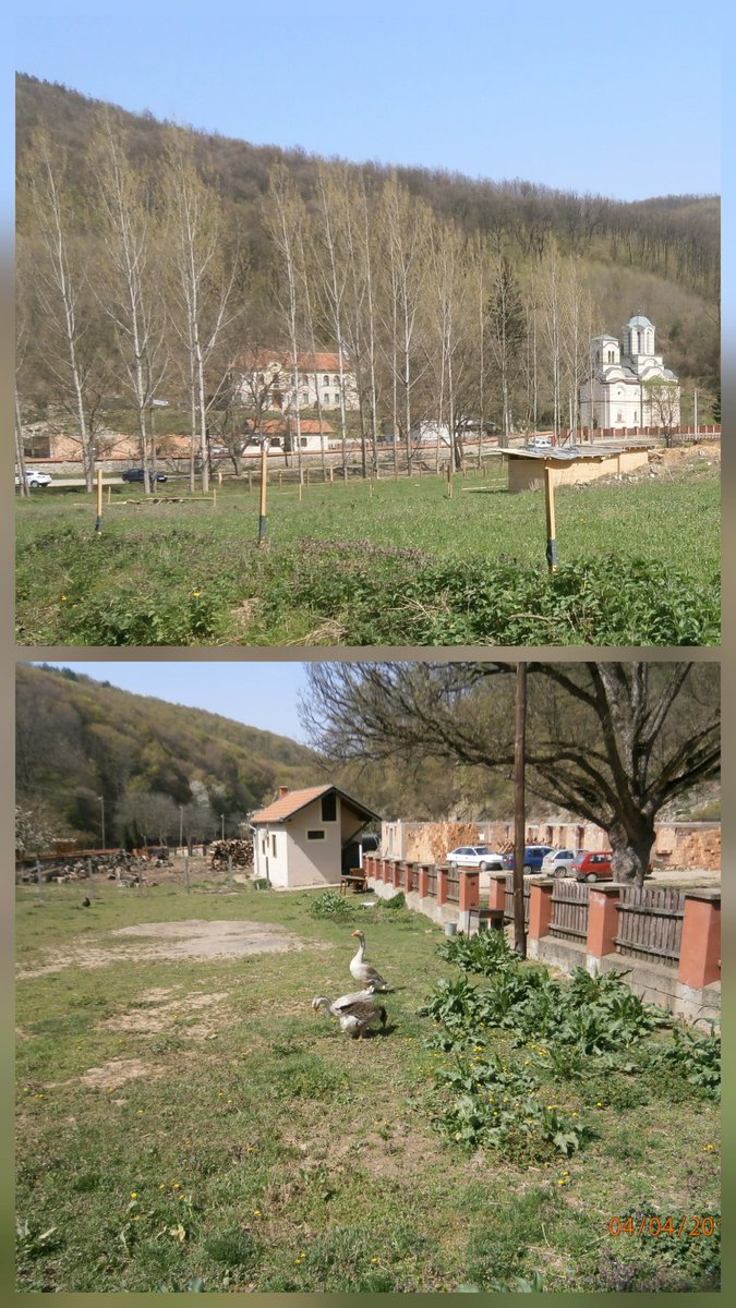 oncewasbest's tweet image. Podstaknut Vučićevim odlaskom u Tumane i obećanjem da će država još da ulaže u taj hohštapleraj, prilažem ovo što sam fotkao 4.4.2016.
Nigde nikog. A onda se pre 5-6 g. banda prevaranata dosetila da na čudotvorne isceliteljske moći tog realno nepoznatog manastira namlati lovu.