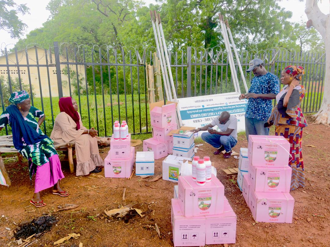 P2-P2RS - The Gambia tweet media