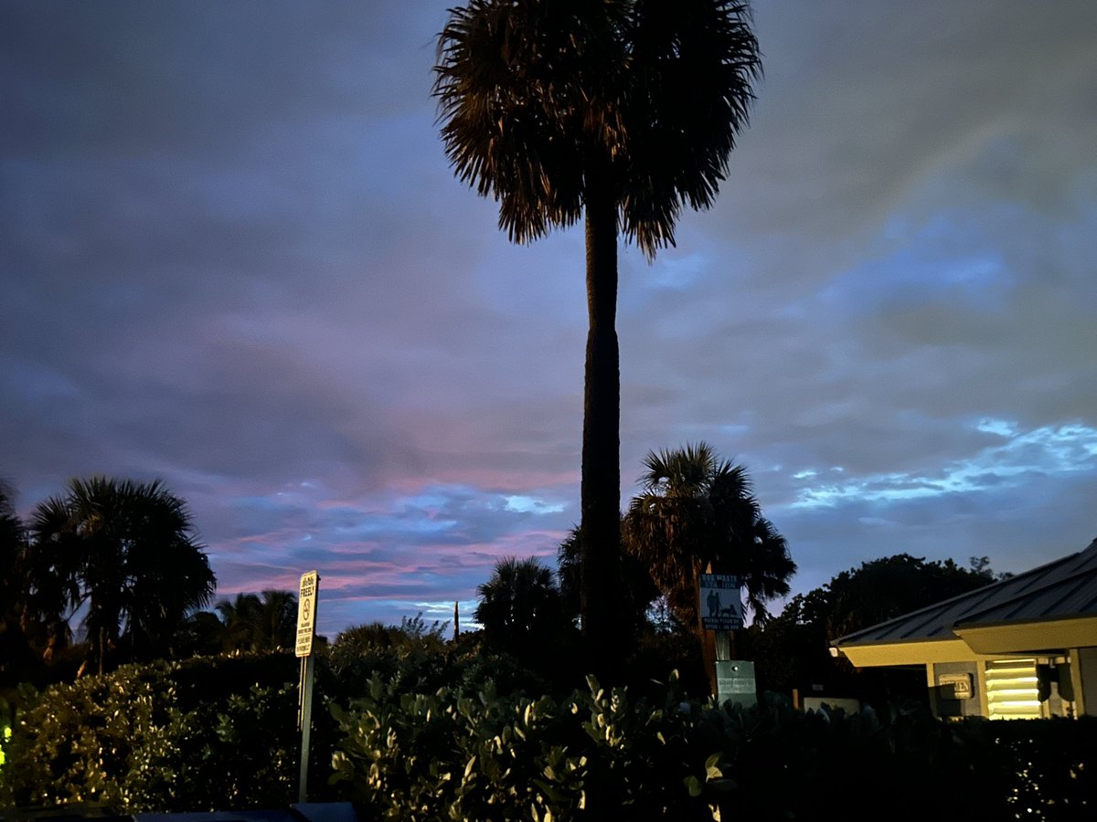 Beeyx3's tweet photo. 🦋chasing the sunset🦋 https://t.co/3prYcMNKg5