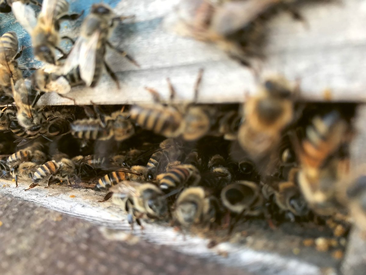 "Our lives hold secrets as inexplicable as the buzzing of the bees. Sometimes something tender sounds. These revelations find expression in a knowing smile. And I’m certain that, even when I’m eighty, I’ll still be on the lookout for these kinds of revelations. It’s another way