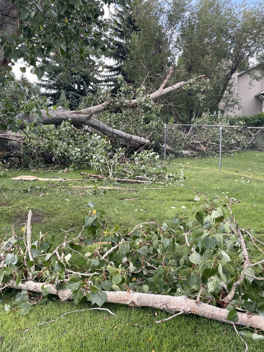 Connaught Golf Club tweet media