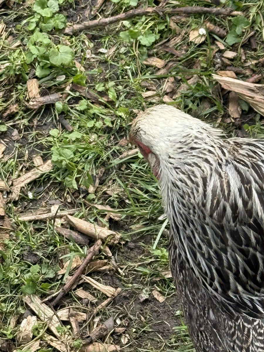 #sundayvibes

Follow <a href="/IAMHarryDuran/">𝗛𝗔𝗥𝗥𝗬 𝗗𝗨𝗥𝗔𝗡 🇸🇻</a> for systems that turn expertise into podcasts.