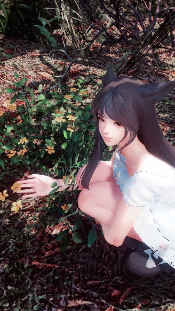 softerrores's tweet image. GIRLFRIENDS