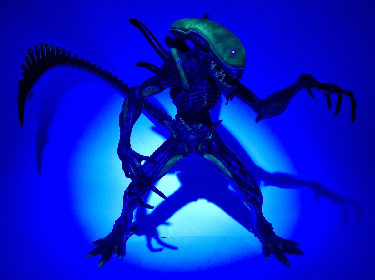 mlml_punch's tweet image. エイリアン完成しました(<>..<>) 〇×#%△
至近距離で見たら細かい色の変化があるけど写真にすると黒一色に見えてしまう悲しみ😭
頭の蛍光だけはいい感じだった✨
