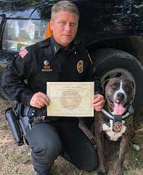 Another pit bull rescued from a shelter to become a certified police dog. It just makes me so happy when I see this. I just wish we could show a lot more of these