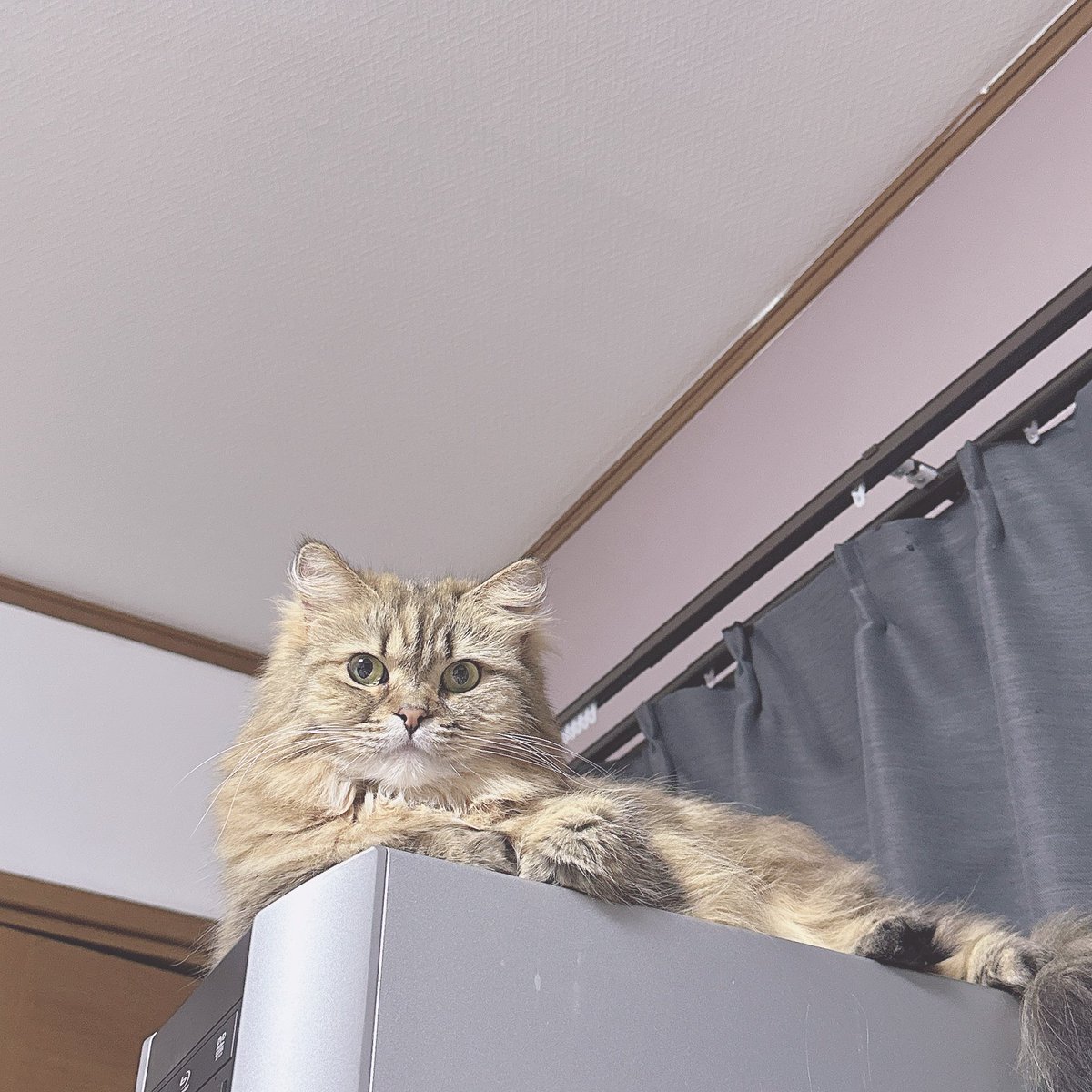 be2salmon's tweet image. も〜
