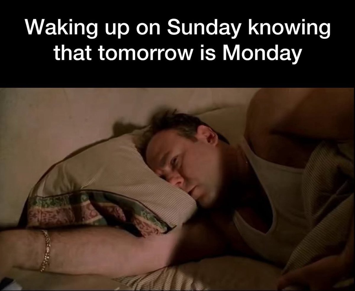 thisismcgregor's tweet image. gm