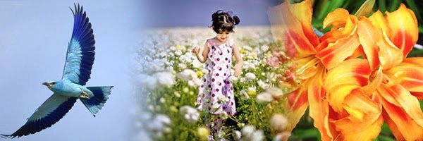 Anika_Jesus's tweet image. #PazMundial 🕊
« Gloria a Dios en las alturas, y en la tierra paz a los hombres de buena voluntad. »
- Lucas 2-14