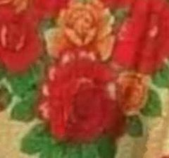 محد يسوي فيلم وثائقي ويثبت انه تدعوس الا العفافيش هههههههههههه