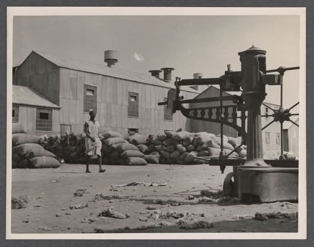 ArewaFactsZone's tweet image. Two-story factory building covered in corrugated metal sheets; bags of goods piled in rows; in the foreground, a large iron scale. This could be Kano, circa 1930s