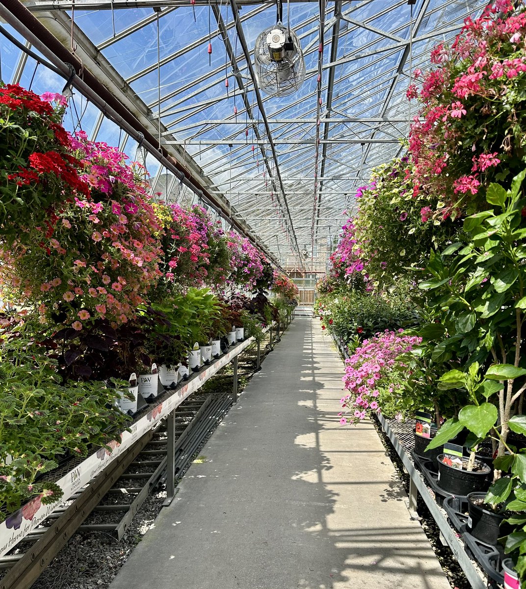J_Scott_'s tweet image. For over 30 years, Ferragine Greenhouses has been growing more than just flowers: they’ve built one of Bradford’s go-to spots for everything a gardener might dream of.

This second-generation business is a true example of entrepreneurship and community spirit — and the third…