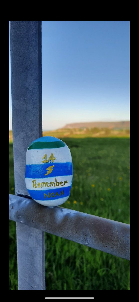 LucyQ1994's tweet image. #week266 
#justicefornoahtruthforfiona
#noahsarmy