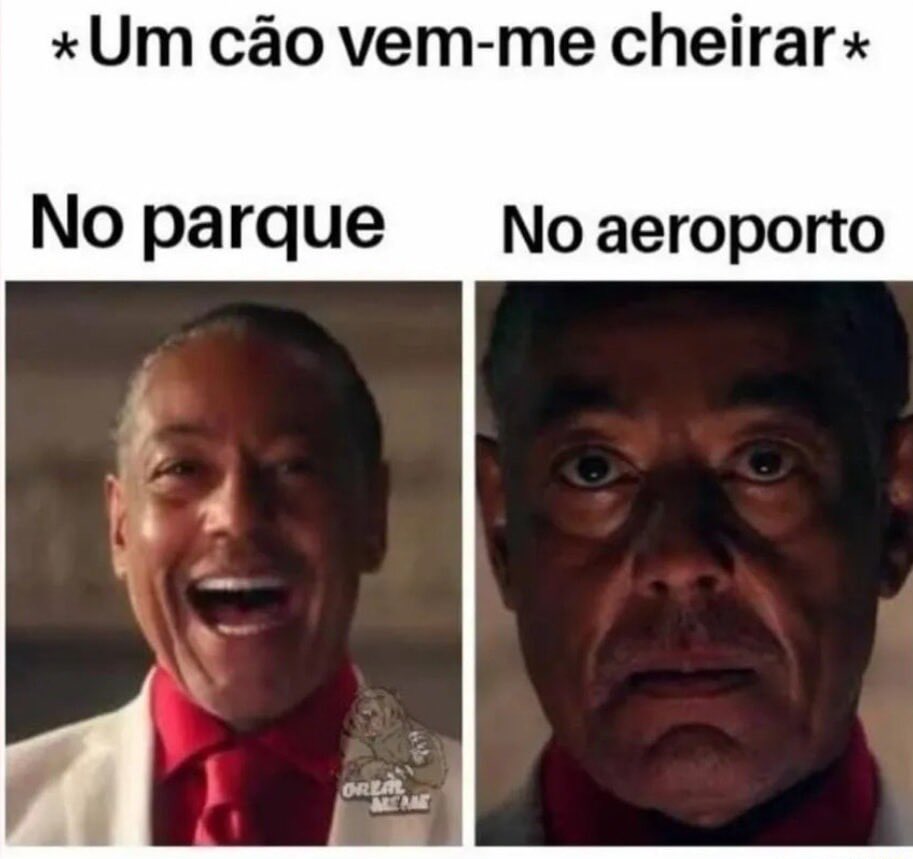 shitpostverdade's tweet photo. https://t.co/ZNVCJLA1nk